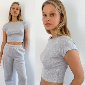 NWT Aritzia Tna grey crop tee